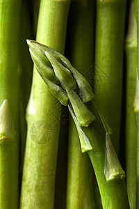 绿色芦笋蔬菜的细节食物背景平躺芦笋蔬菜的细节图片