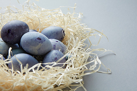彩色复活节彩蛋浅蓝色背景的巢中巢中的蓝色鸡蛋图片