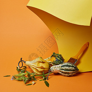 秋天的创造的构图与南瓜刷子橙色的背景上秋天的作文用刷子南瓜图片
