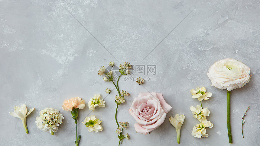 灰色背景上代表的同花朵的成可以用于您的想法情感情人节灰色背景上的花的成高清图片下载 正版图片 摄图网 灰色背景上代表的同花朵的成可以用于您的想法情感情人节灰色背景上的花的成高清图片下载 正版图片 摄图网