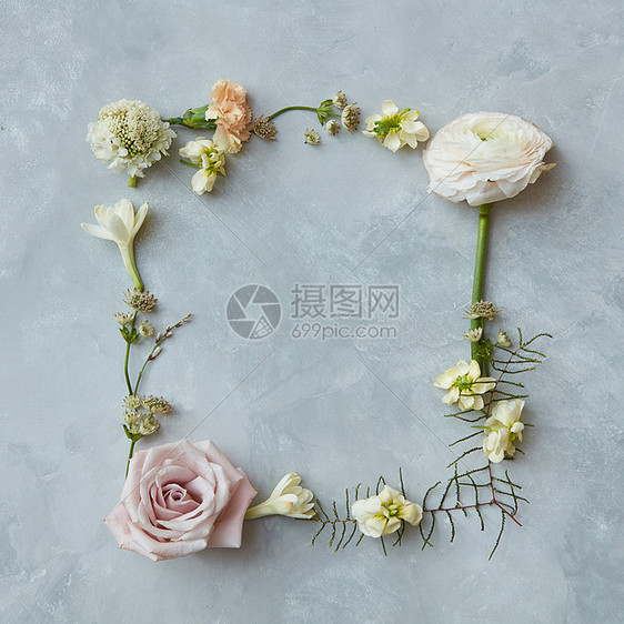 圆形框架花环图案,玫瑰,粉红色花蕾,枝叶隔离白色背景上平躺,俯视图片