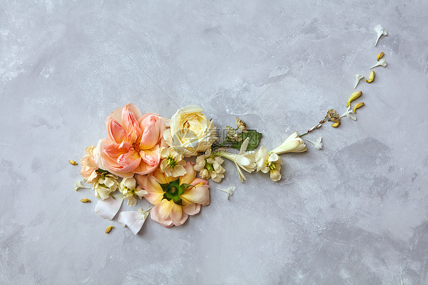 灰色背景上代表同花朵的美丽构图构图可用于明信片灰色背景上的花的构图高清图片下载 正版图片 摄图网