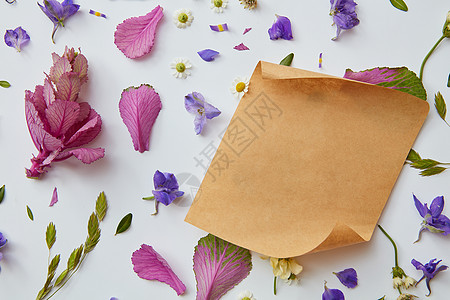 花蕾五颜六色的花白色的背景上,用张牛皮纸文字,平躺花背景图片