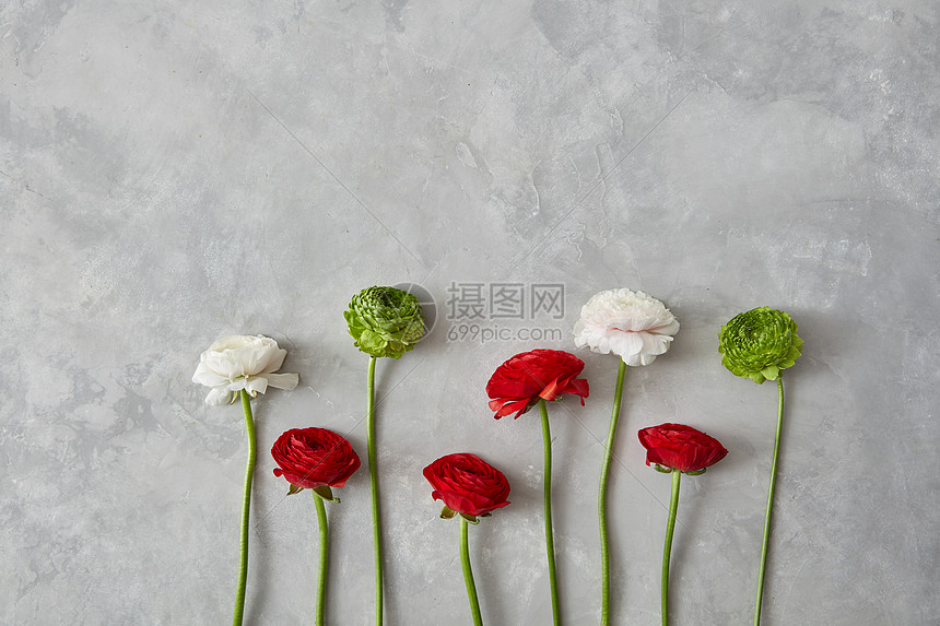 白色 绿色红色的花灰色的混凝土背景上情人节节日贺卡灰色背景上美丽的同的花高清图片下载 正版图片 摄图网 白色 绿色红色的花灰色的混凝土背景上情人节节日贺卡灰色背景上美丽的同的花高清图片下载 正版图片 摄图网