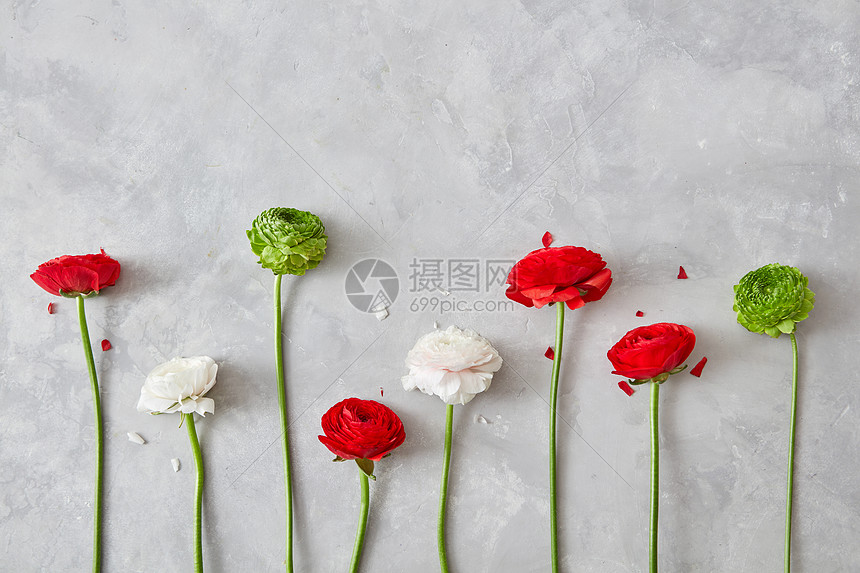 种由白色红色绿色的花花瓣成的构图 灰色的混凝土背景上贺卡 情人节灰色背景上美丽的同的花高清图片下载 正版图片 摄图网 种由白色红色绿色的花花瓣成的构图 灰色的混凝土背景上贺卡 情人节灰色背景上美丽的同的花高清图片下载 正版图片 摄图网