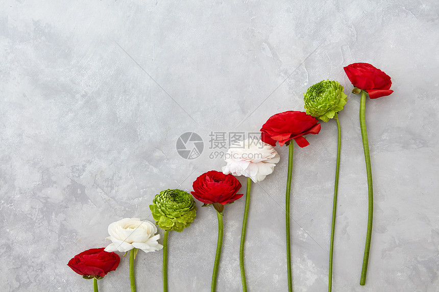 种由玫瑰菊花成的构图 灰色的混凝土背景上情人节 母亲节灰色背景上美丽的同的花高清图片下载 正版图片 摄图网