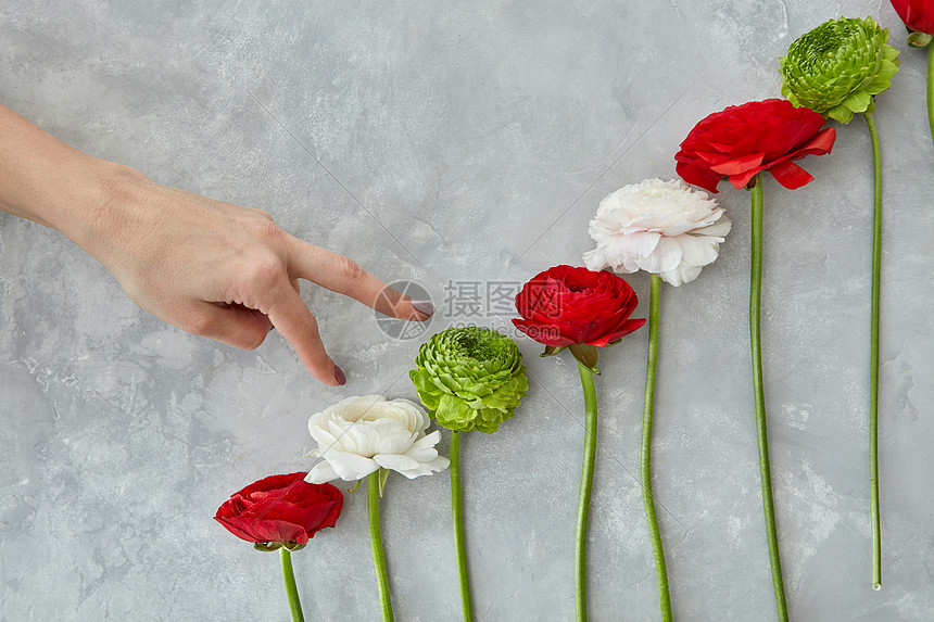 女人的手举花灰色混凝土背景上的白色粉红色玫瑰绿色菊花情人节的灰色背景上美丽的同的花高清图片下载 正版图片 摄图网 女人的手举花灰色混凝土背景上的白色粉红色玫瑰绿色菊花情人节的灰色背景上美丽的同的花高清图片下载 正版图片 摄图网