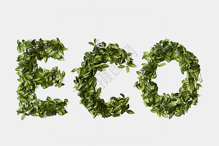 字母表词ECO由白色背景上绿叶制成来自白色背景上叶子的生态符号图片