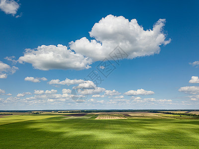 阳光明媚的日子里,多云的天空背景上,片风景如画的风景中看树木农田草地的绿色植物美丽的乡村景观,蓝天白云,农田,草图片