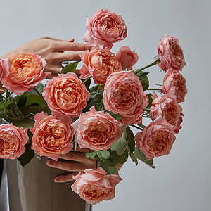 棕色花瓶里盛开的粉红色玫瑰女孩的手着灰色背景上的花瓶瓦伦丁节女的手着个灰色背景上粉红色玫瑰的花瓶份图片