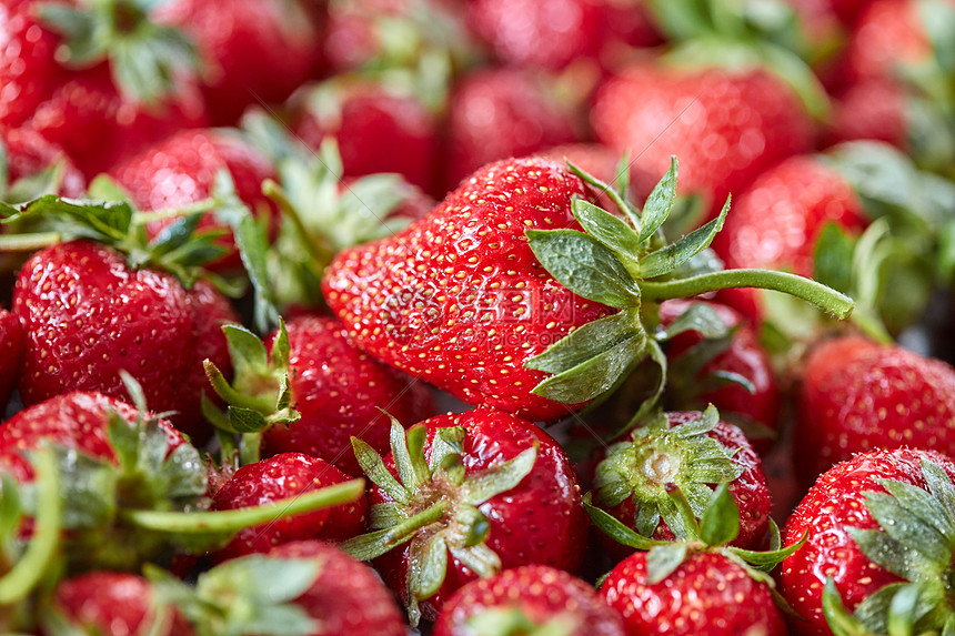 新鲜采摘的成熟草莓,绿色的茎健康的机浆果的风景机多汁的自制草莓,绿叶食物背景的风景图片