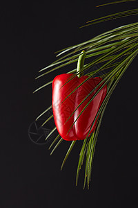绿色棕榈枝与多汁的新鲜胡椒围绕个黑色的背景与的文字健康机食品的成熟的红辣椒呈现绿色棕榈枝周围的黑色背景与复图片