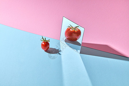 个绿色茎的红色小番茄蓝色粉红色背景上的镜子中被大反射,成熟的番茄被反射个双粉蓝色纸板背景上的镜子中,文字的图片