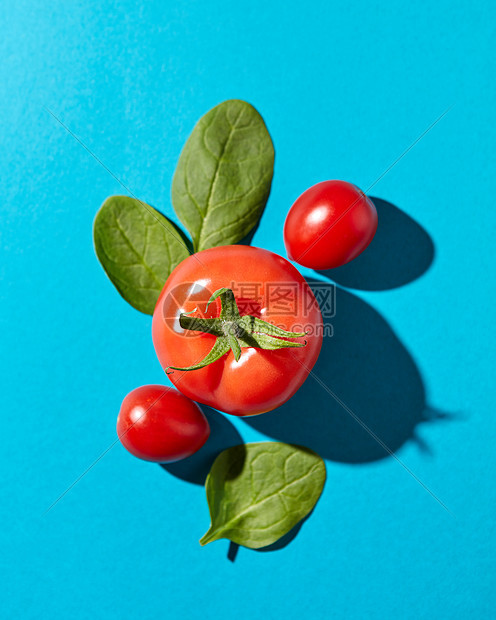 西红柿绿色的茎菠菜叶,呈现蓝色的背景上,阴影的反射机蔬菜平躺新鲜的菠菜叶多汁的成熟西红柿蓝色背景上,硬图片