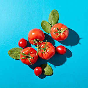 新鲜的菠菜叶多汁的成熟西红柿蓝色背景上,硬阴影沙拉用机蔬菜平躺西红柿绿色的茎菠菜叶,呈现蓝色图片