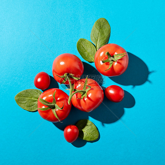 新鲜的菠菜叶多汁的成熟西红柿蓝色背景上,硬阴影沙拉用机蔬菜平躺西红柿绿色的茎菠菜叶,呈现蓝色图片