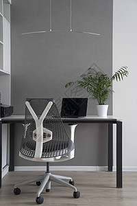 公司办公室角落张现代化的桌子,骨科椅子,最新的电脑绿色花盆桌子上绿色商务办公现代室内办公与日光现代图片