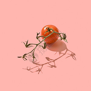 茎上成熟的机番茄呈现2019活珊瑚潘通的颜色背景上,阴影的副本健康饮食的风景茎与红色成熟的西红柿2图片