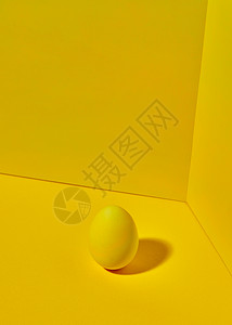 黄色鸡蛋明亮的黄色背景上,阴影文字创造的复活节布局黄色背景上的彩色亮黄色鸡蛋,阴影反射复活背景图片
