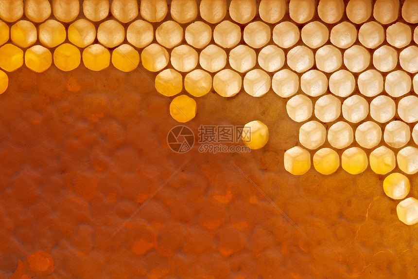 用新鲜机蜂蜜填充上蜡的蜂窝观照片下代网络生成蜡梳中的新鲜机蜂蜜机产品的观照片平躺图片