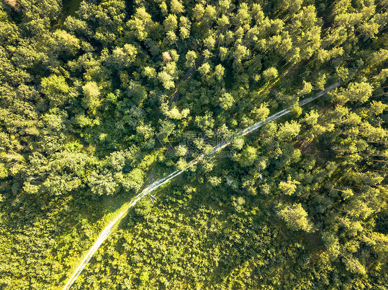 晴朗的夏日,土路穿过片绿色的森林鸟瞰无人机自然布局为您的想法的风景阳光明媚的夏日,条土路上,穿过森林图片