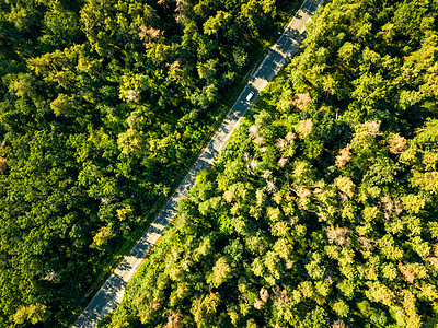 叶绿林与沥青路晴天,自然美丽的背景生态保护无人机的鸟瞰图个阳光明媚的日子里,这条路开着辆过路的汽车穿过森图片