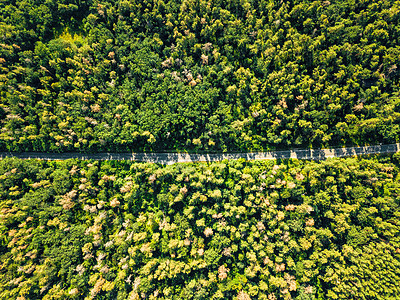 空中俯瞰穿过落叶林的道路个晴朗的夏日自然保护阳光明媚的日子里,无人机绿色森林沥青路上的鸟瞰自然布局为您图片