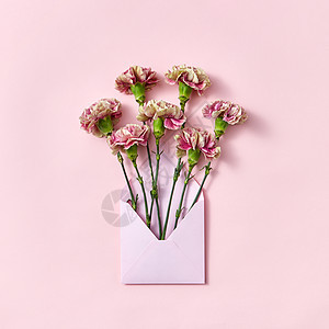 手工空白信封与康乃馨花个粉底,的风景祝贺卡康乃馨花个信封上的粉底图片