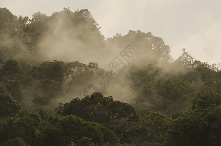 热带雨林,泰国Khaoyai公园图片