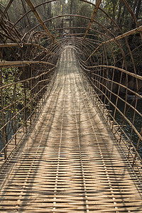 老挝的竹桥图片