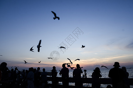 海鸥日落邦普海滩,泰国图片