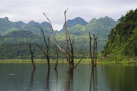 路亚钓鱼泰国自然湖,湿地保护遗址,桑克拉布里坎查纳布里背景