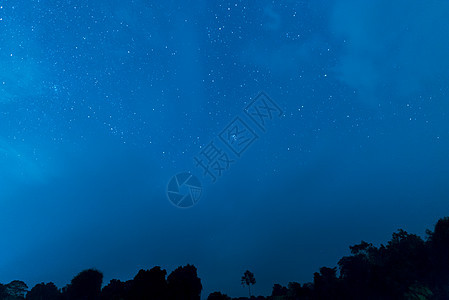 夜空背景上草的剪影图片