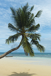 泰国的热带海滩图片