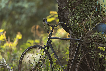 带自然的旧自行车图片