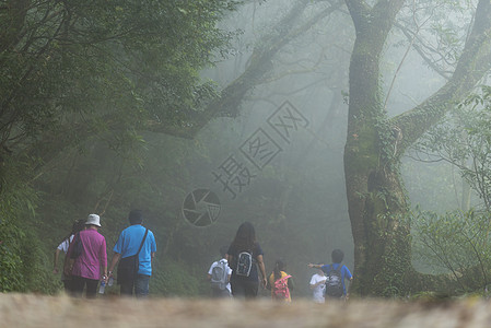 台湾台北阳明山公园自然步行道图片