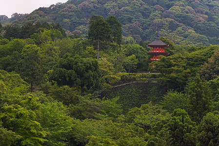 东京清济寺附近的三层宝塔图片