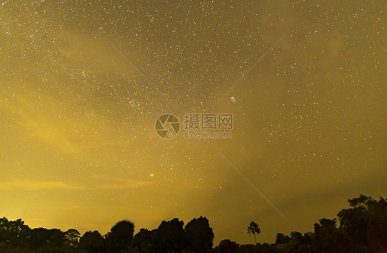 夜空背景上草的剪影图片