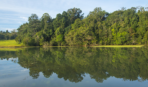 水湖上的热带森林反射图片