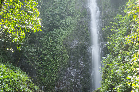 热带雨林里的瀑布图片