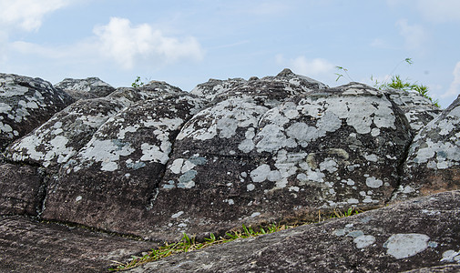 自然界岩石上的群地衣图片