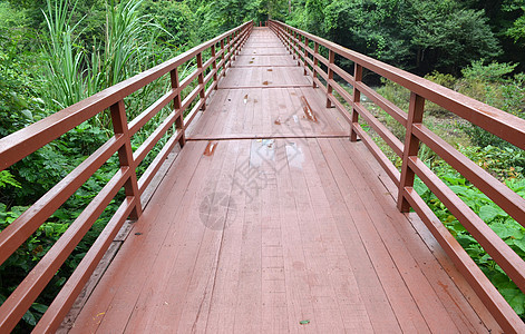 通往丛林的桥梁,泰国Khaoyai公园图片