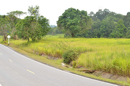 完美的道路景观与田野,树木图片