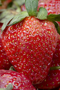 草莓特写新鲜草莓背景