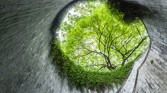 新加坡旅行新加坡坎宁堡公园地下隧道图片