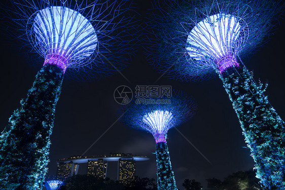 夜间海湾旁的花园展示超级树木树林图片