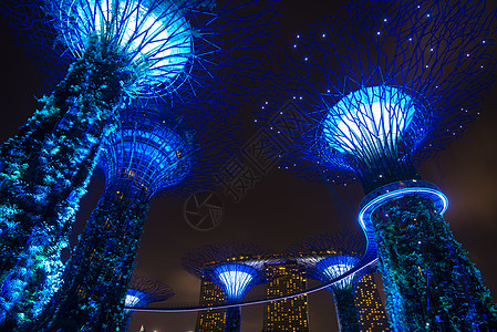 城市街景夜间海湾旁的花园超级树木树林背景