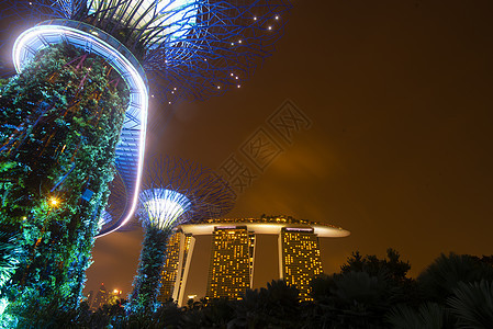 夜间海湾旁的花园展示超级树木树林图片