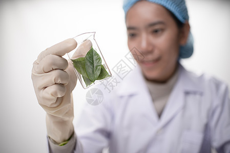 医生,女科学家,实验室用草药叶,维生素补充剂,矿物质替代治疗研究图片