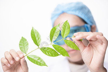 美容植物医生,女科学家,实验室用草药叶,维生素补充剂,矿物质替代治疗